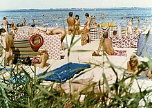 dennis neeld recommends public nude beach pics pic