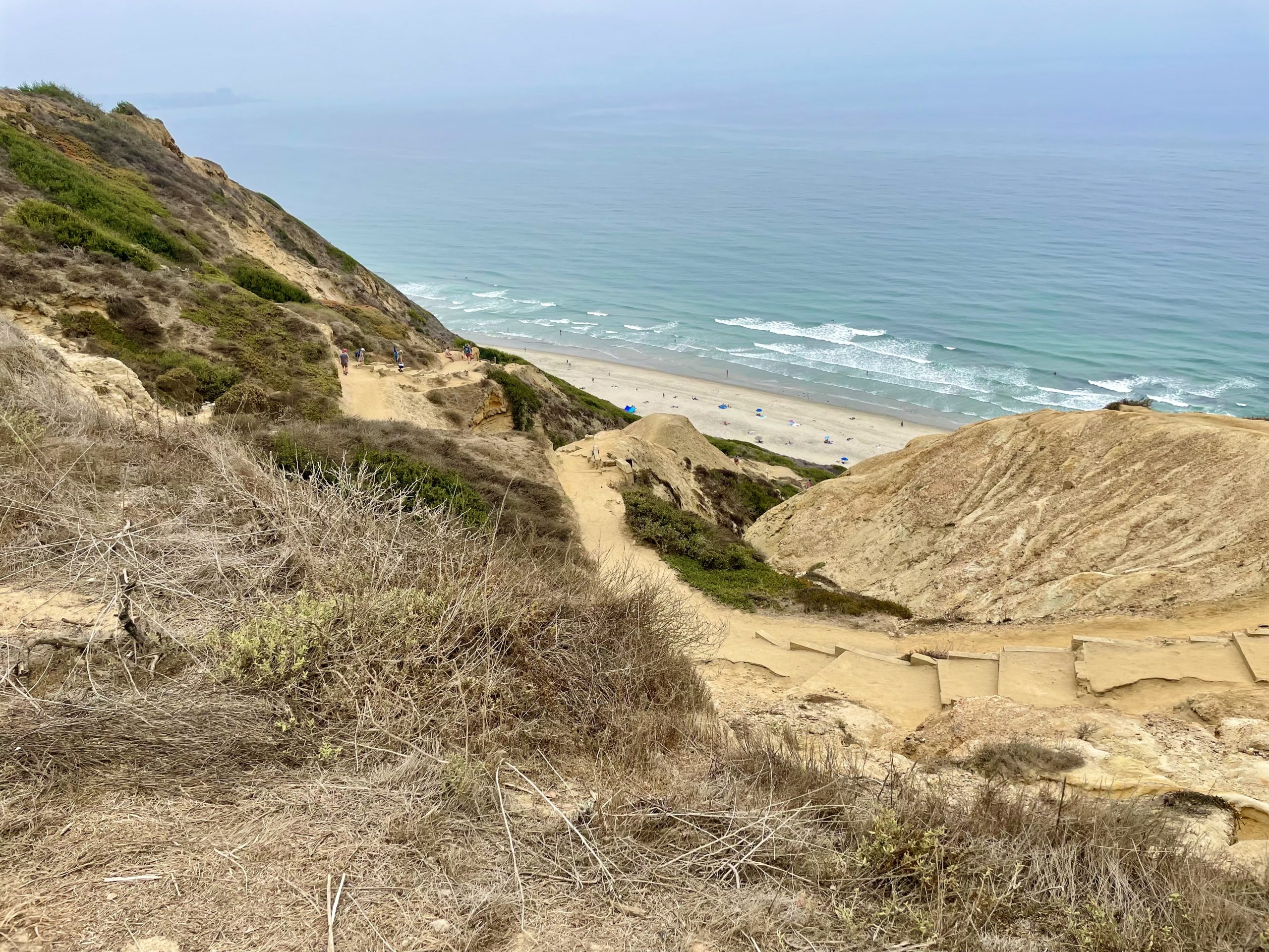 black image recommends couple stranges stranded nude on beach porn pic