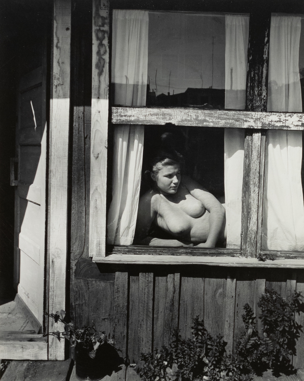 barbara shrawder add nude by the window photo