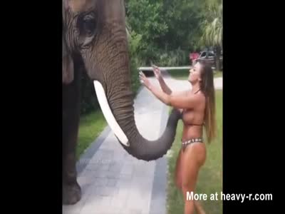 bob poulsen share elephant and girl porn photos