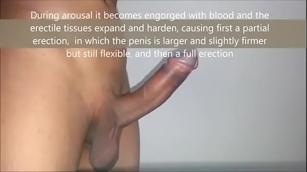 Penis Getting Hard Video swinger experience