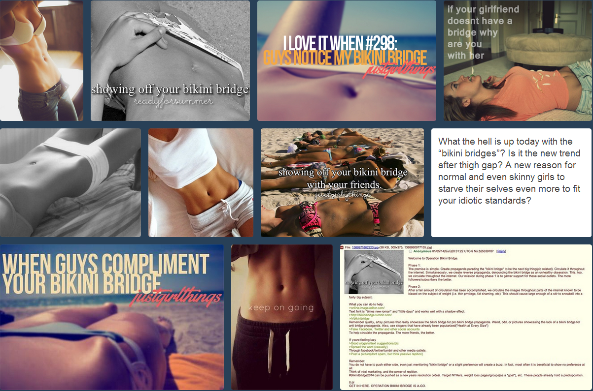 allan albelda recommends tumblr panty bridge pic