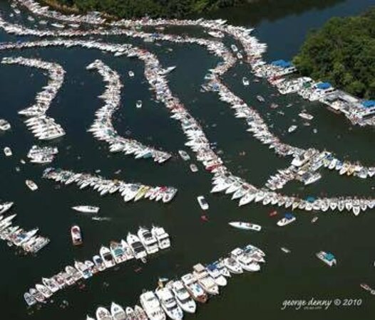 alycia pearson share party cove osage beach photos