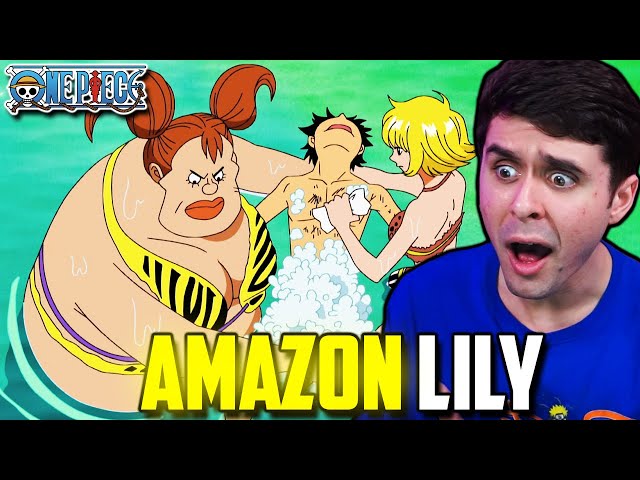 darwin callo recommends amazon lily one piece episode pic