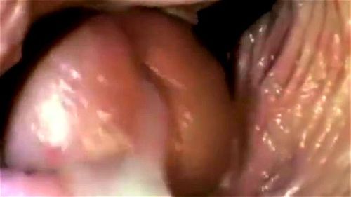 Cumming Inside Vagina Video northern nj