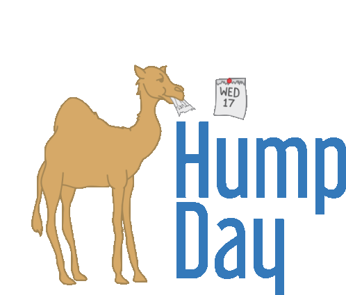 diti patel recommends Hump Day Gifs Tumblr