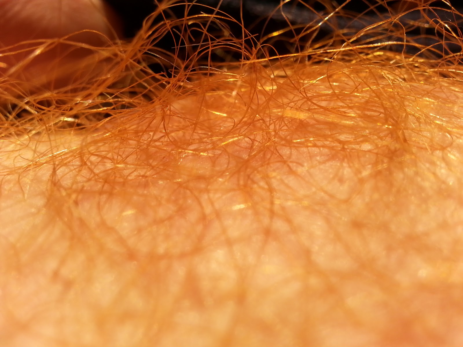dirk richard recommends ginger pubic hair pic