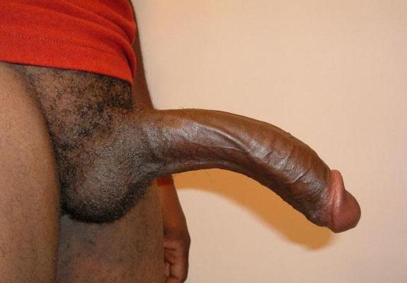 ashish panwar add 11 inch black dick photo