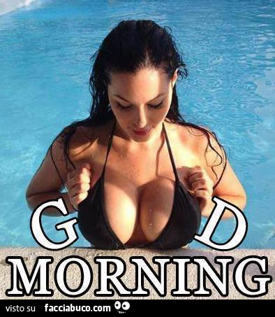 chris seiber recommends good morning boobs pic