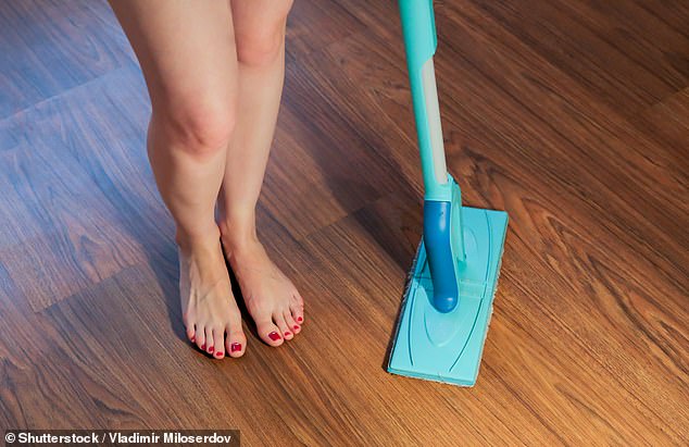 anita rohman add nude women house cleaning photo