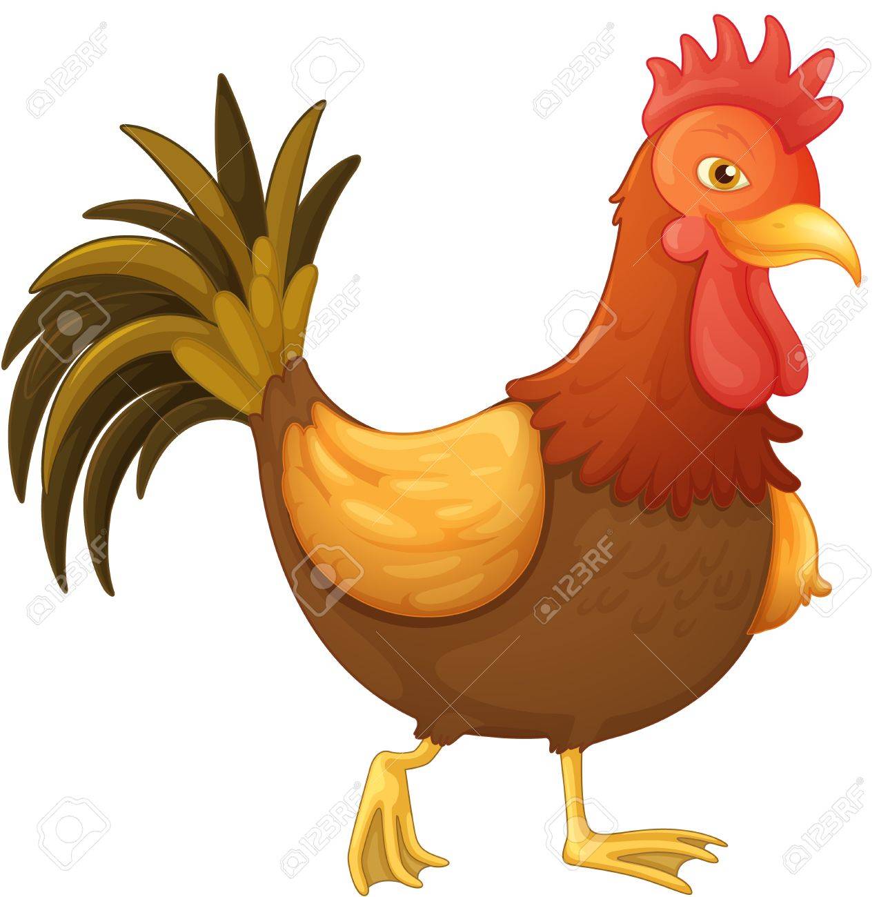 Best of A picture of a cock