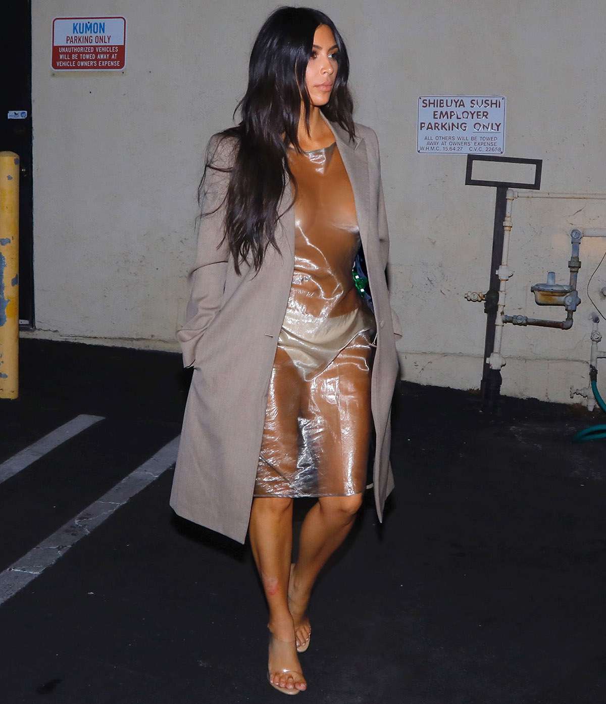 derrick sanchez recommends kim kardashian see threw dress pic