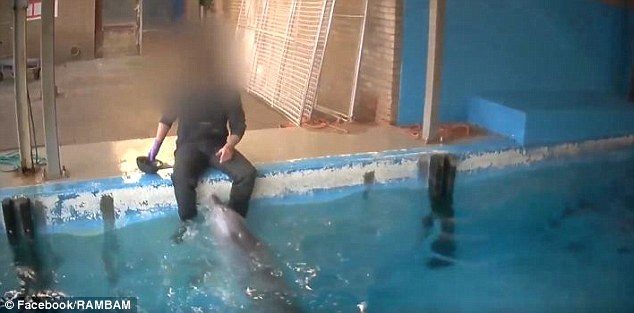 bhawna gandhi share sex with dolphin video photos