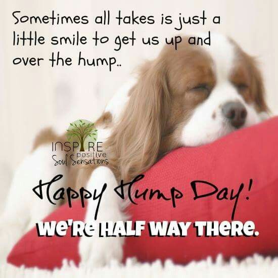 debra barraza recommends happy humpday images pic