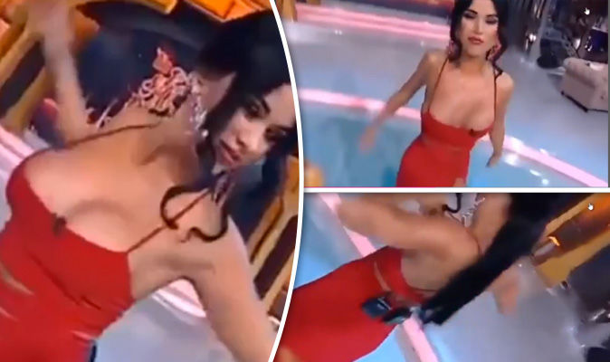charlie hussey recommends news anchors nip slip pic