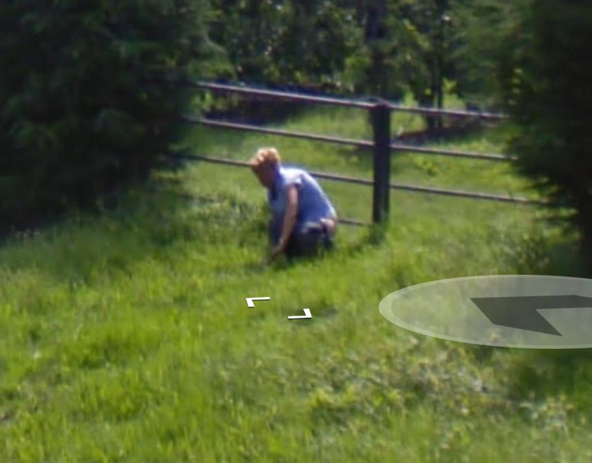 allison dibben recommends google street view nudes pic