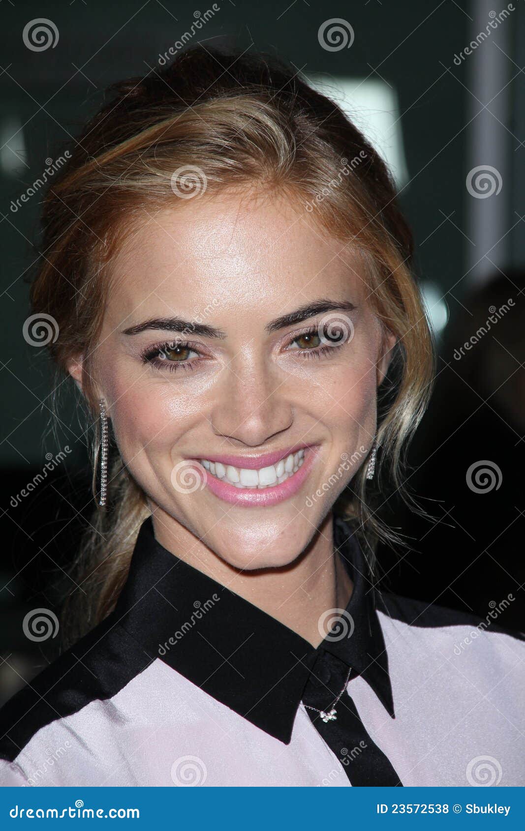 emily wickersham brown hair