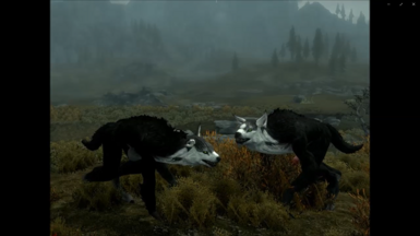 dottie lawrence recommends skyrim werewolf animation mod pic