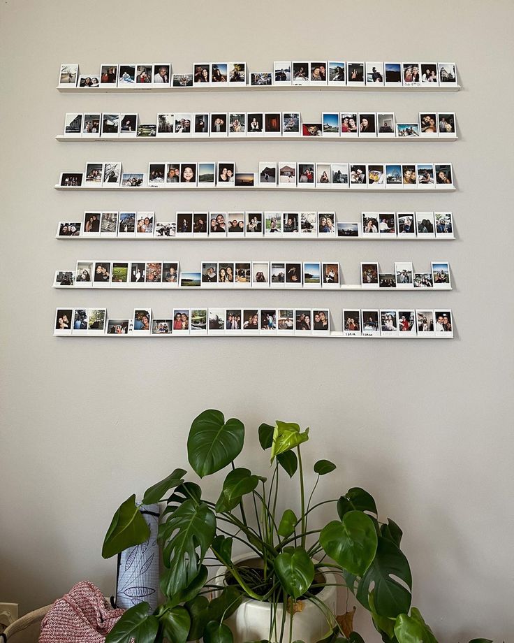 alan leclaire recommends How To Display Polaroids