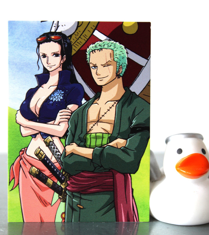 one piece zoro robin