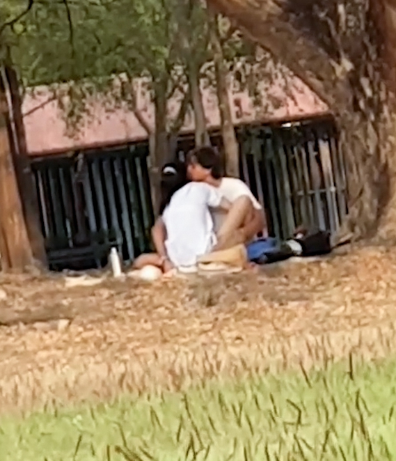 People Having Sex In The Park orange ca
