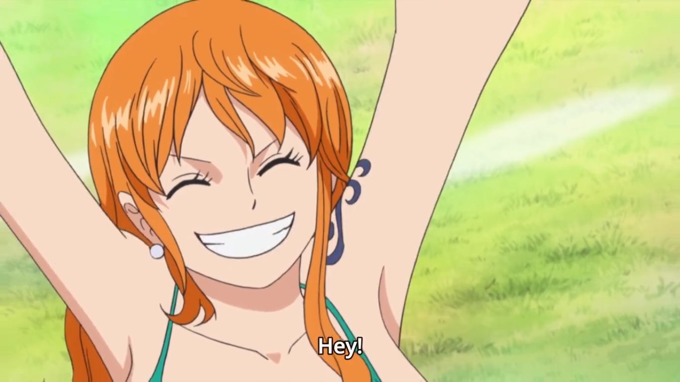 bernie schmidt recommends Pictures Of Nami From One Piece