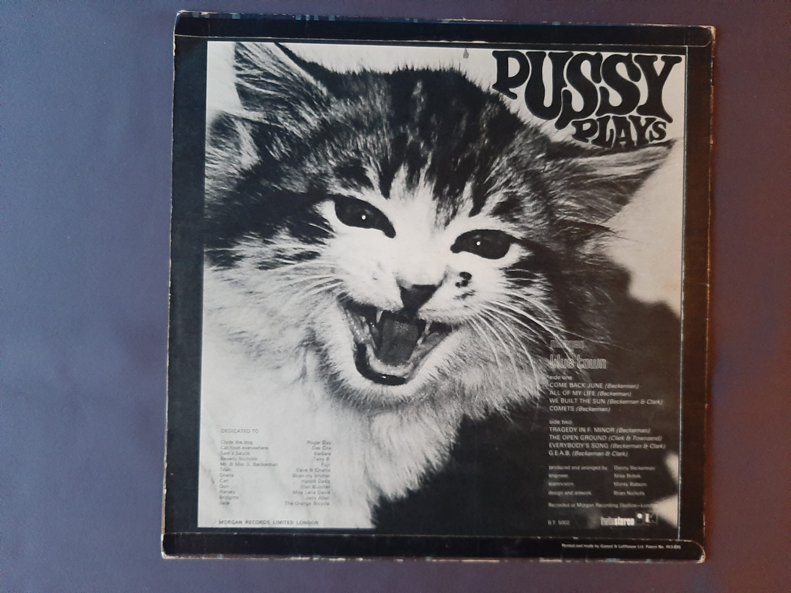 Best of Pussy pussy pussy com