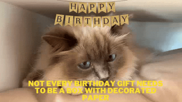 amber wenke recommends Singing Happy Birthday Gif With Sound