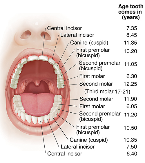 dinora umana recommends come in mouth pic