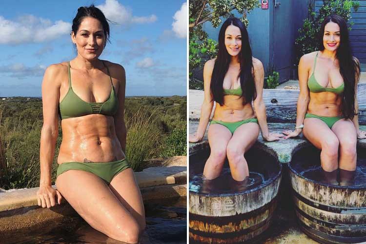 don holdener share nikki bella en bikini photos