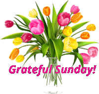 connie lepper recommends blessed sunday gif pic