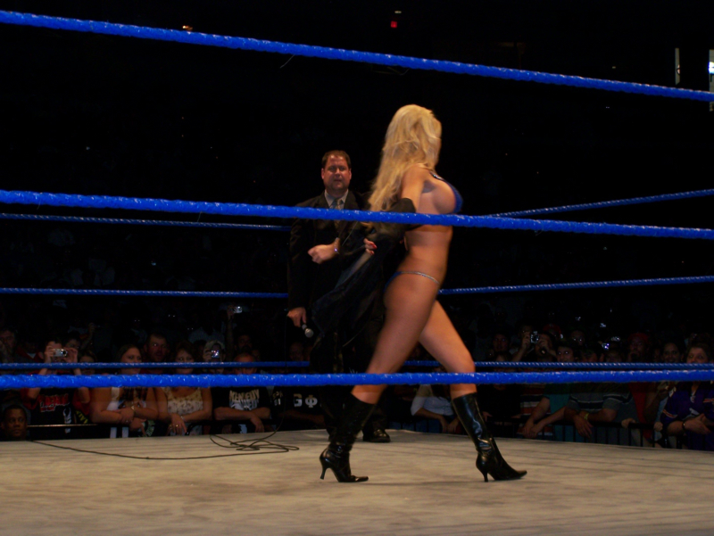 bub rowan recommends Wwe Jillian Hall Nude