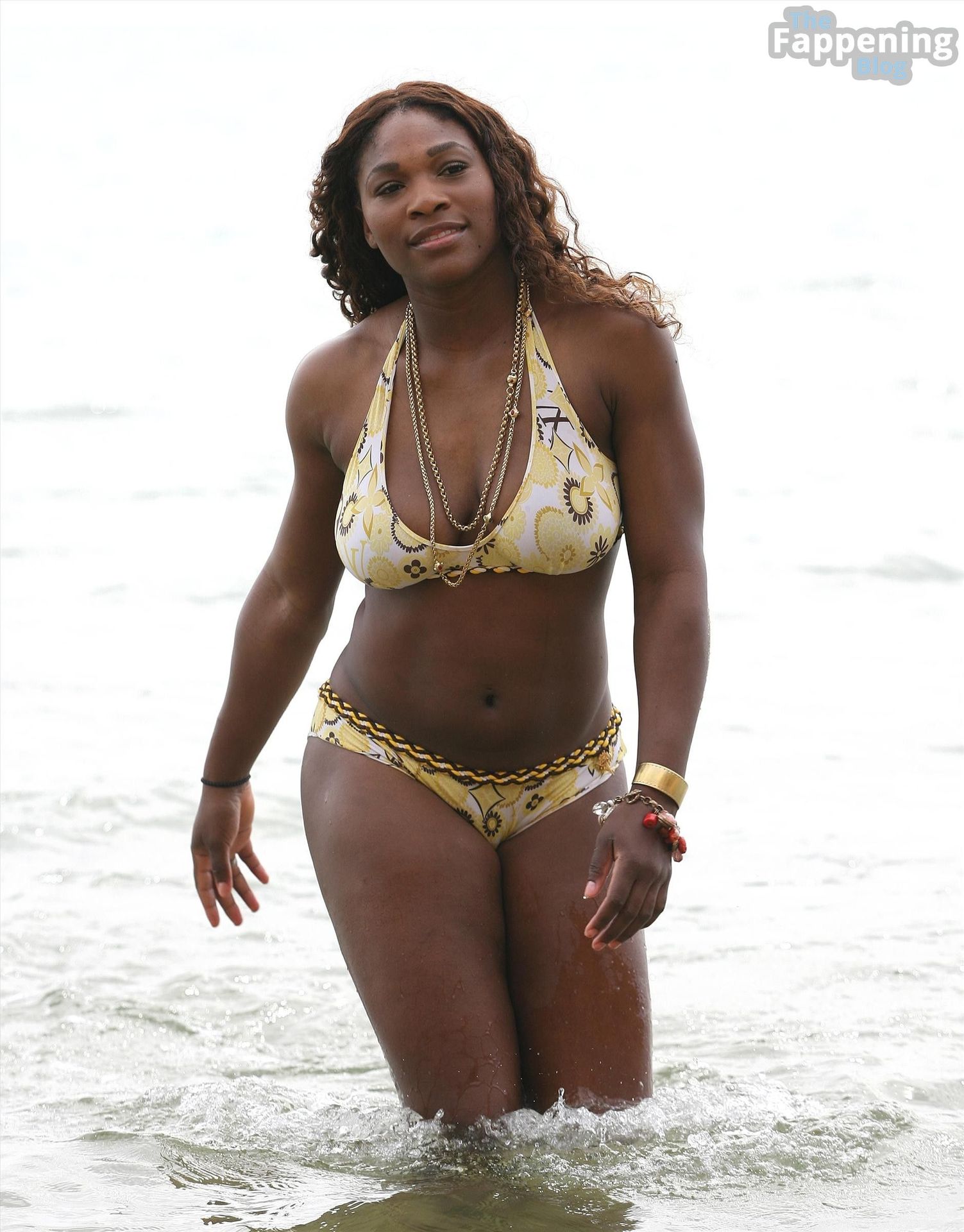 char felix recommends serena williams naked images pic