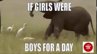 carolyn deluzio recommends If Girls Were Boys For A Day Gif