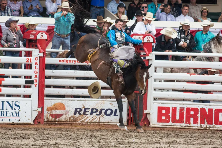 claire wright recommends Calgary Stampede Threeway