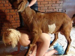 cathy maupin share girl fucked by goat photos