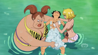 Best of Amazon lily one piece episode