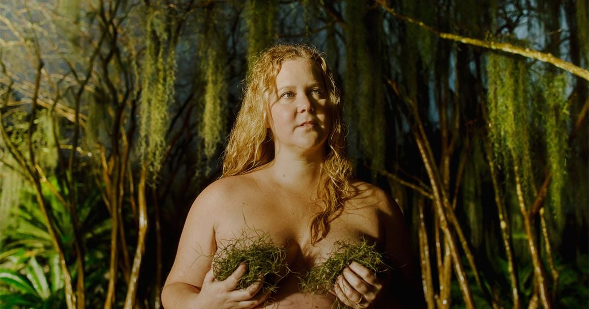 arif hasnat add photo amy schumer topless