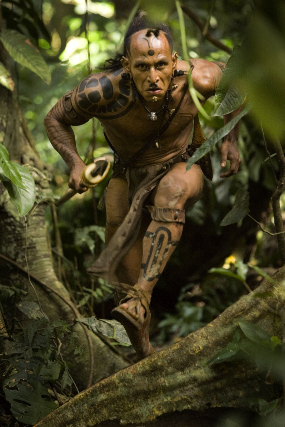 dan shickles recommends Apocalypto Movie Free Download