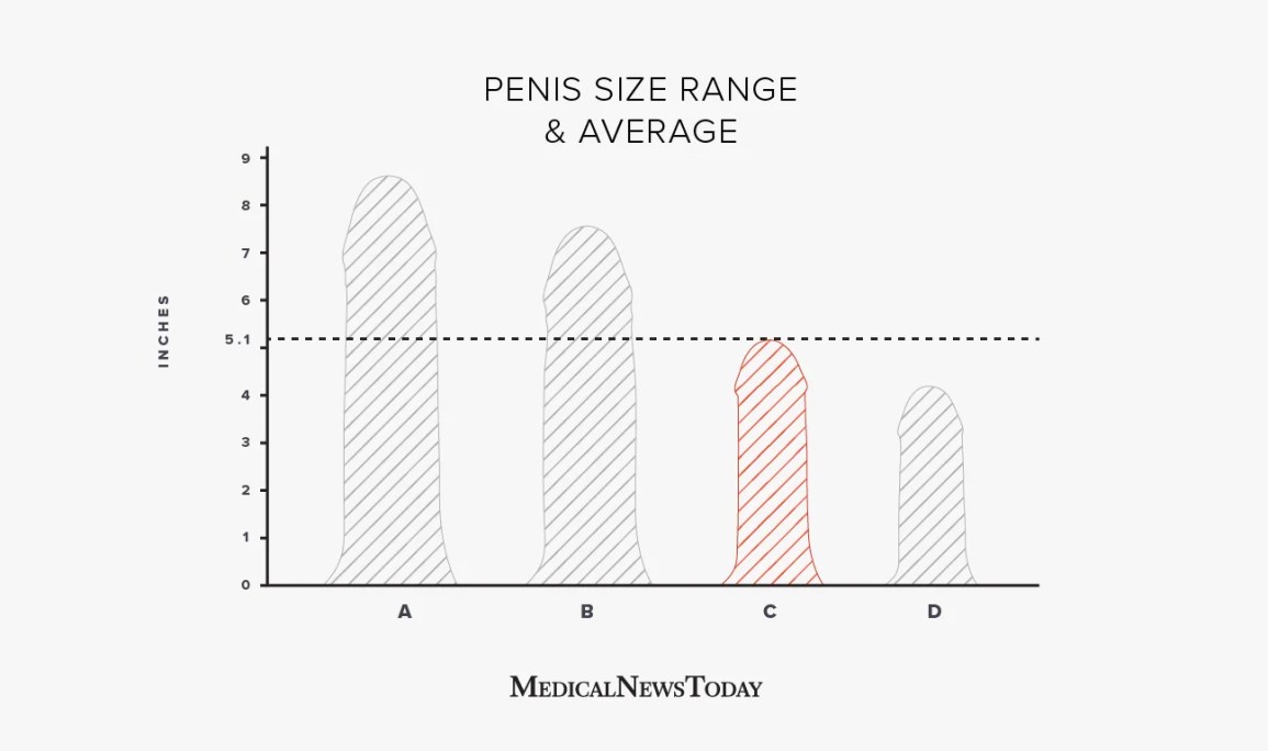 average size black dick