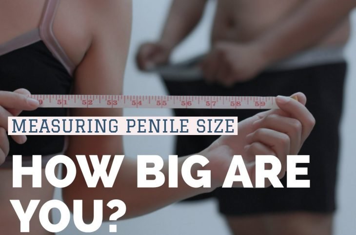 girl measure penis