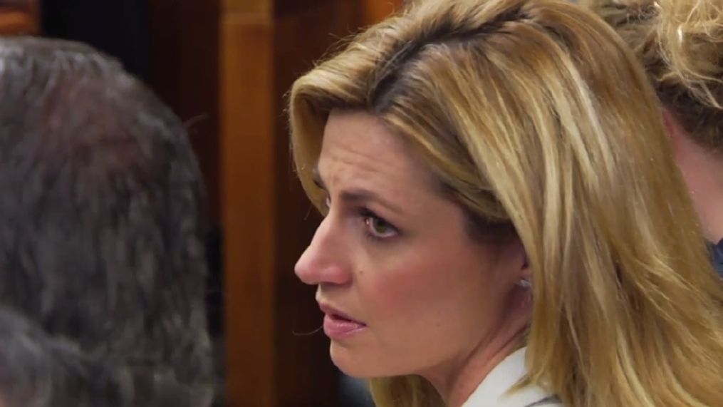 charles mcmurray recommends erin andrews naked porn pic