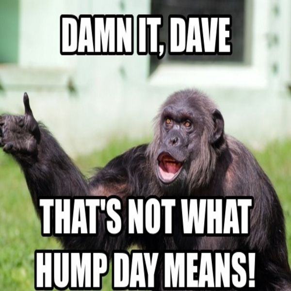 billy fahy recommends Happy Humpday Images