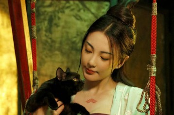 Best of Chinese cat 3 movies