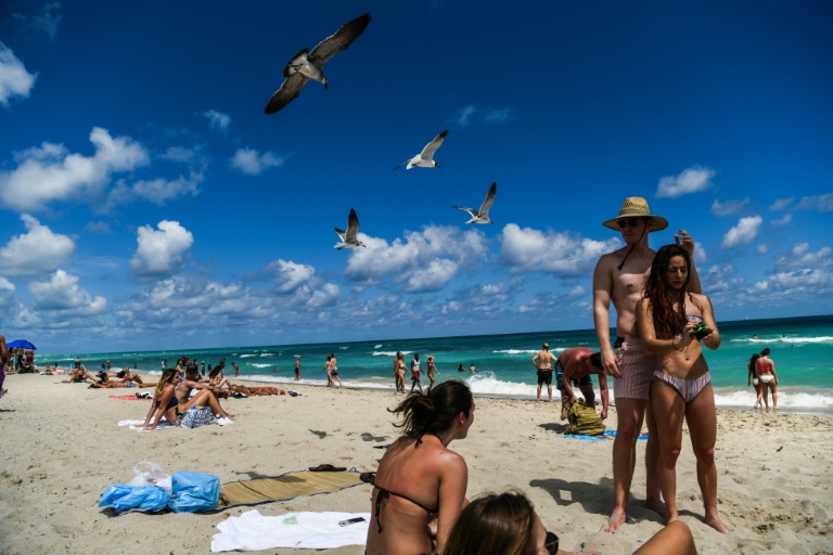 david hauben recommends backpage com miami beach pic