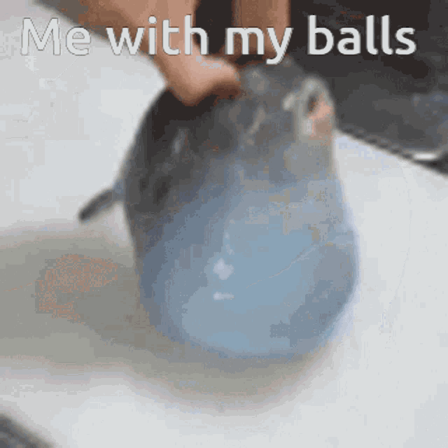 Best of Balls slapping ass gif