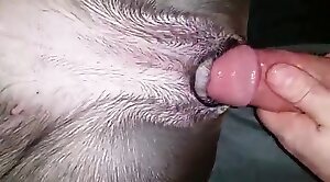 cary gregory share sexo con animales videos photos
