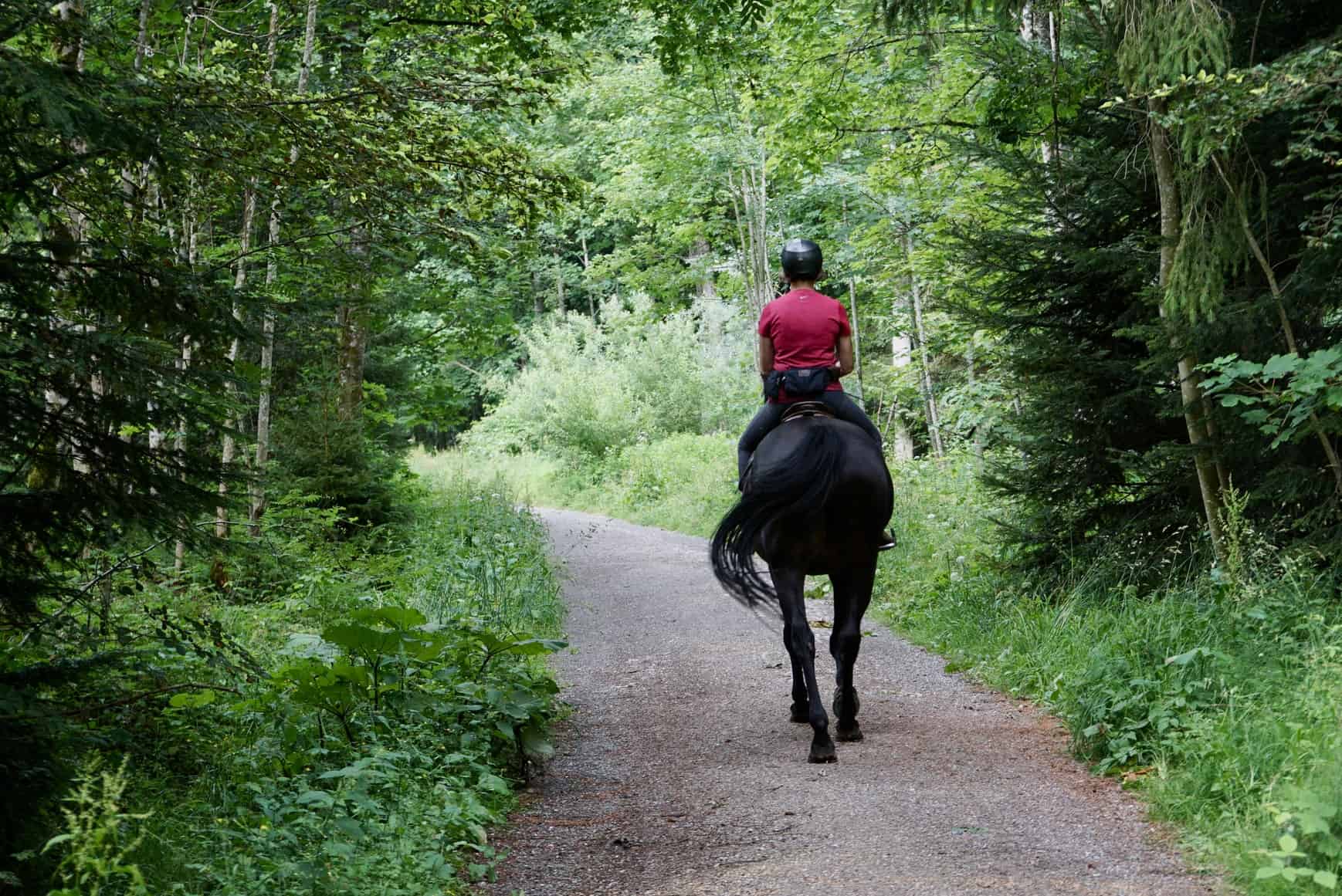 donny mcgowan recommends big round booty riding pic