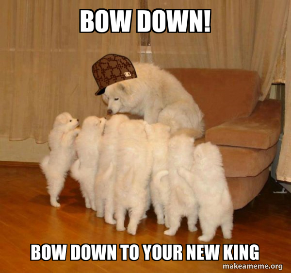 brian jonas recommends bowing down meme pic
