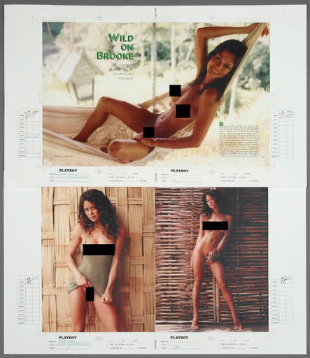 bob jakob recommends brooke burke playboy pictures pic